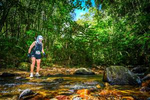 BIB: 
                            <button type="button" onclick="openModal(21766032)" class="btn btn-primary btn-sm float-right btn-popup" data-toggle="modal" data-target=".modal-high-quality">
                        <i class="fas fa-shopping-cart"></i> Add to Cart
                    </button>
                                            <button type="button" onclick="isThisMe(21766032, true)" class="btn btn-success btn-sm float-right btn-popup btn-isme hidden" data-toggle="tooltip" data-placement="bottom" title="นี่คือรูปของคุณใช่ไหม คลิกที่นี่เพื่อเอาเข้าอัลบั้ม">
                        <i class="fas fa-plus"></i> Add to album
                    </button>
                    <button type="button" onclick="isThisMe(21766032, false)" class="btn btn-warning btn-sm float-right btn-popup btn-isnotme hidden">
                        <i class="fas fa-ban"></i> Remove from album
                    </button>